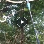 AKU SET: 3in1 – Sega + Forbici + Asta telescopica – video