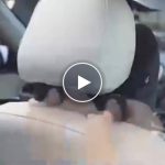 Cuscino per schienale auto – video