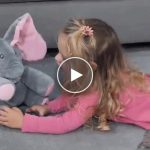 Elefantino di peluche che canta – video