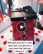 Orsacchiotto di lusso fatto di rose – video