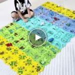 Puzzle con binario ferroviario – video