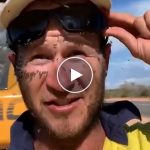 Trappola per mosche altamente efficace – video