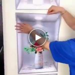 Adesivo murale 3D (3 pezzi) – video