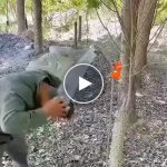 Doccia da campeggio portatile – video