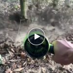 Mini soffiatore potente Brixon AKU + batteria di ricambio – video