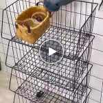 Organizzatore con tre cestini – video