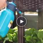 Contenitore per la coltivazione – video