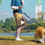 Guinzaglio hands-free per cani – video