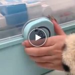 Portaoggetti per medicinali e accessori – video