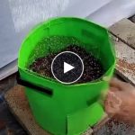 Sacchi per la coltivazione di ortaggi – video