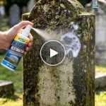 Prodotto per la rimozione del muschio – video