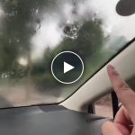 Detergente per vetri dell’auto con testina girevole in microfibra – video