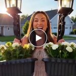 Lampada solare da giardino per vasi – video