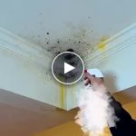 Spray detergente antimuffa per pareti – video